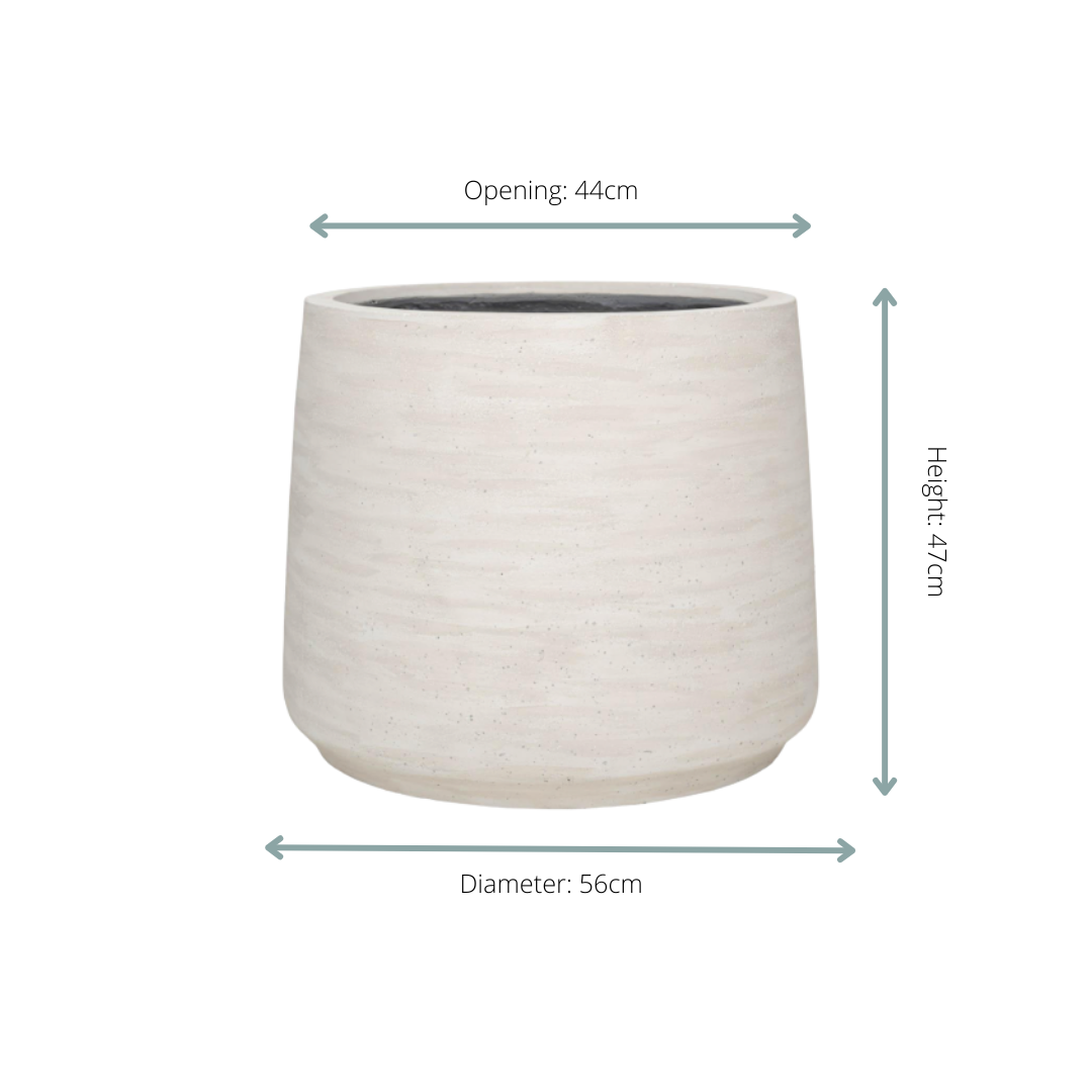 Pflanztopf Jumbo Patt Ivory Washed – D56xH47cm – Moderner Design – Blumentopf in Elfenbeinoptik – Wetterfester Pflanzkübel für Innen & Außen