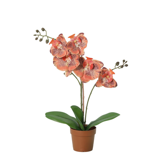 Künstliche Phalaenopsis Orchidee orange 41cm Kunstpflanze blühende Orchidee für Wohnzimmer Büro Schlafzimmer Badezimmer pflegefreie Wohnraum Deko